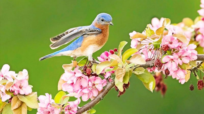 هشدار هواشناسی برای ۷ استان؛ هوا خنک می‌شود