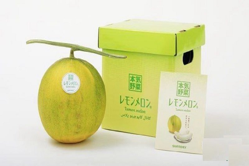 میوه جدید ژاپنی ها به نام خربزه لیمو+ عکس