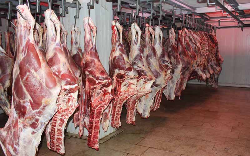 قیمت شقه گوسفندی به ۴۵۰ هزارتومان رسید/ قیمت هرکیلو دام زنده چند؟
