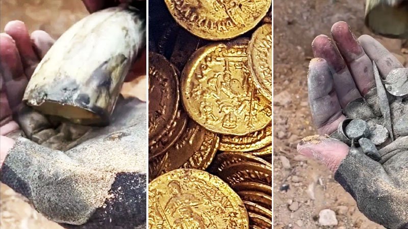 لحظه شگفت انگیز کشف سکه های ارزشمند در داخل یک شاخ حیوان! + ویدیو