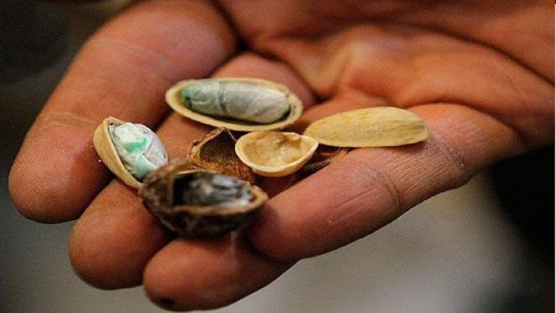 روش های عجیب جاسازی موادمخدر !