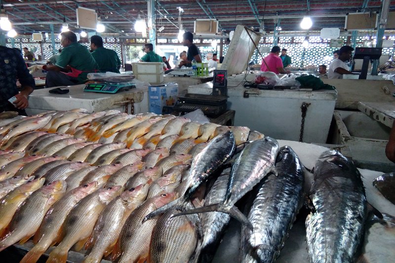 ادعای عجیب شیلات: سرانه مصرف ماهی 13.8 کیلوگرم
