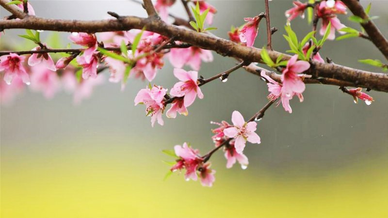 هشدار هواشناسی؛ بارش‌های سیل‌آسا در این استان‌ها آغاز می شود
