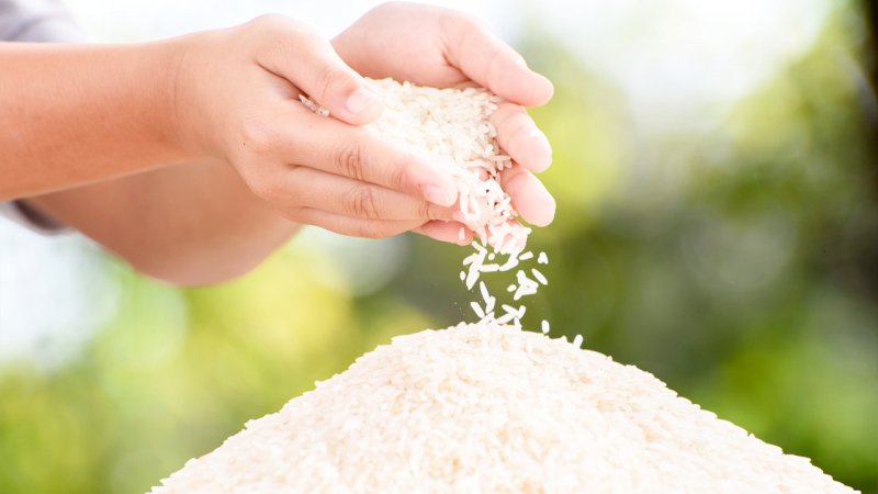 برنج اصل ایرانی با کف دست تشخیص دهید+ فیلم