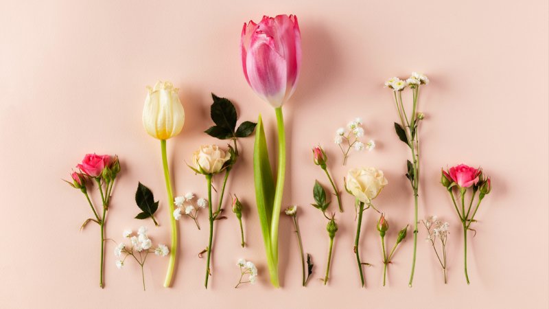 با زشت ترین گل جهان آشنا شوید+ تصاویر