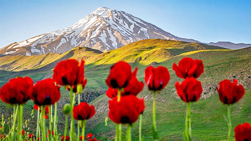 هوش مصنوعی 5 تا از زیباترین شهرهای ایران را انتخاب کرد؛ زیباترین شهر ایران کدام است؟+ فیلم