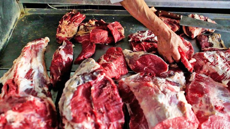 در این شهر ایران گوشت اسب بیمار می فروختند!