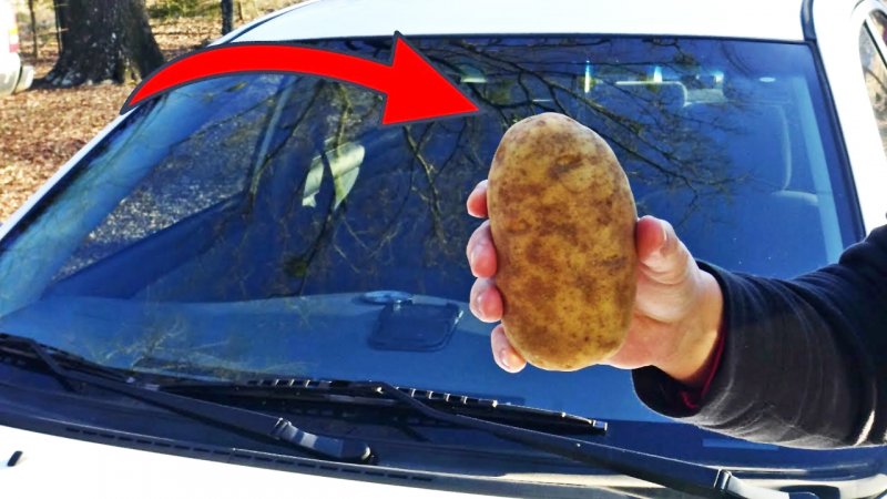 با یک سیب زمینی شیشه خودرو را ضد آب کنید! + فیلم