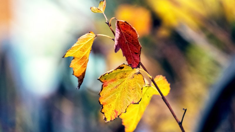 پیش‌بینی عجیب هواشناسی برای تهران!