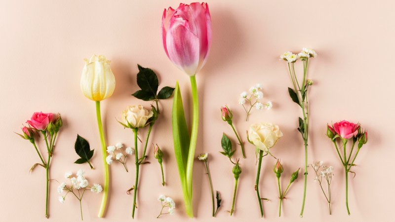 10 تا از زیباترین گل های جهان که شما را مدهوش می کند+ تصاویر