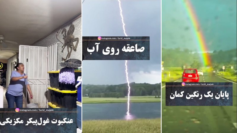 8 تا از عجیب ترین چیزها در طبیعت که انسان تاکنون با چشم خود ندیده است!+ فیلم