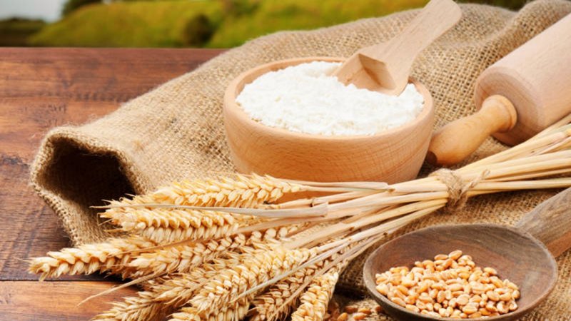 گندمکاران بخوانند/ قیمت جدید گندم اعلام شد + جزییات