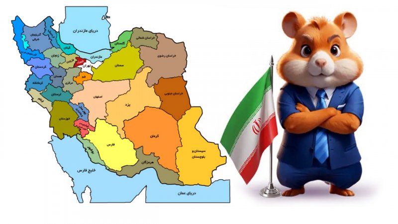 3 استانی که بیشترین بازیکن همستر را در ایران دارد!