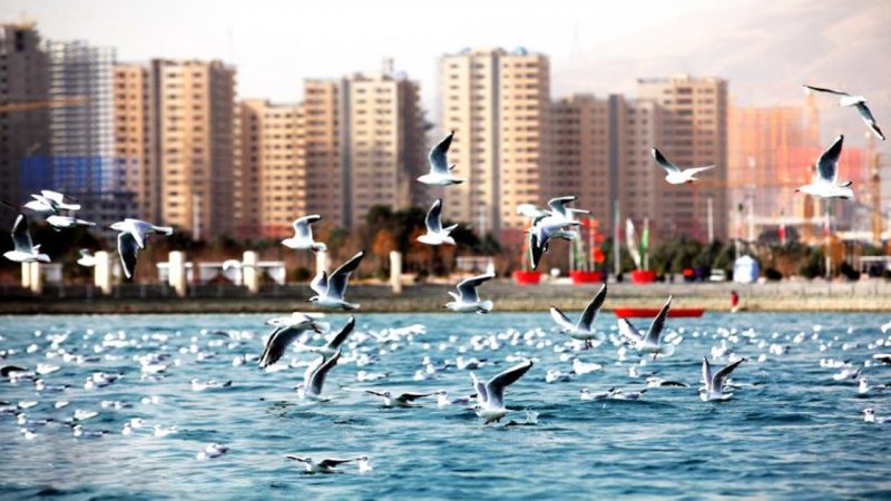 اجاره خانه در چیتگر تهران چند؟ + جدول قیمت