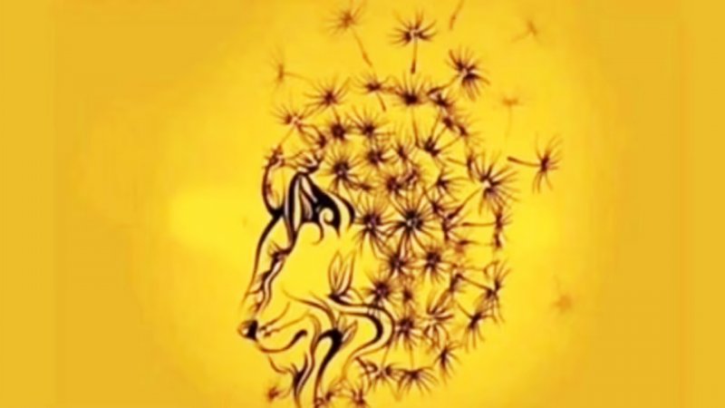 اولین چیزی که در تصویر می بینید بهترین ویژگی شخصیتی تان را آشکار می کند