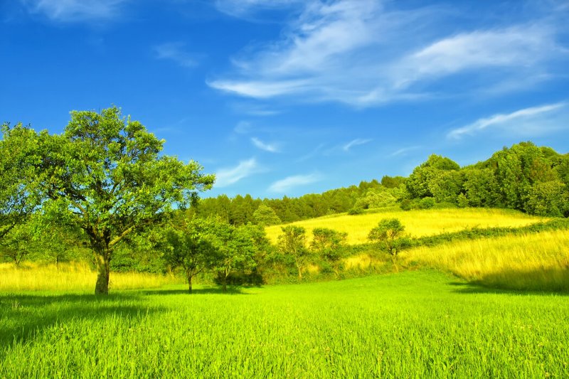 پیش بینی مهم هواشناسی تا روز تا یکشنبه 