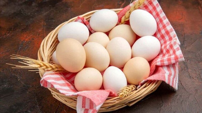 قیمت هر کیلوگرم  تخم مرغ اعلام شد