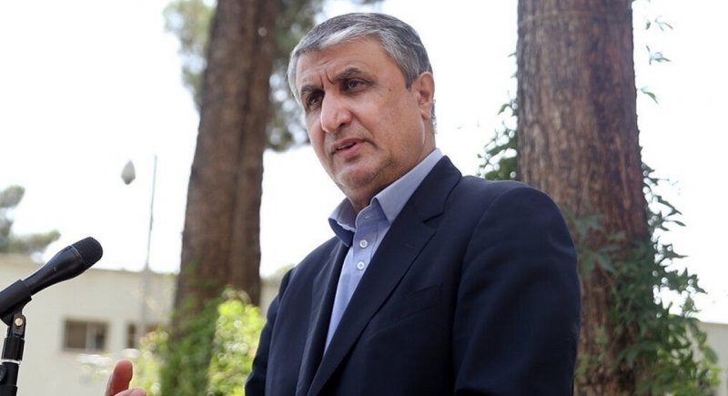 ایران برنامه هسته ای پنهانی ندارد