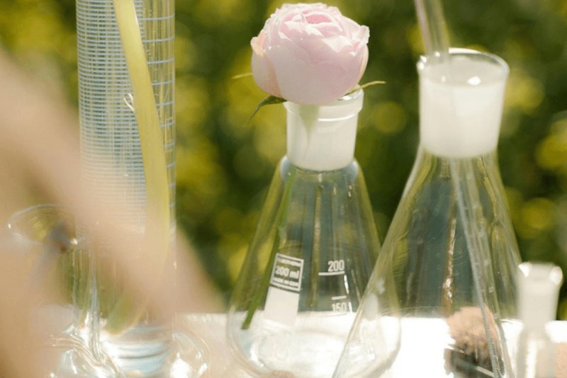 معرفی بهترین عطرهای با رایحه خنک