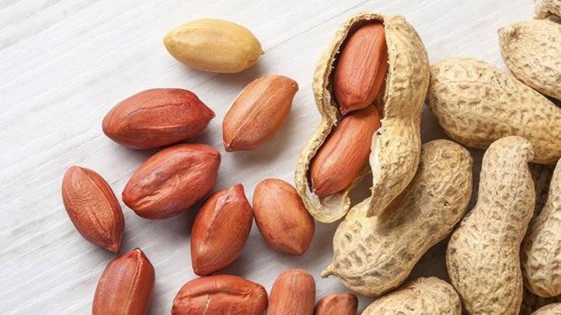 آلرژی به بادام زمینی چگونه تشدید میشود؟