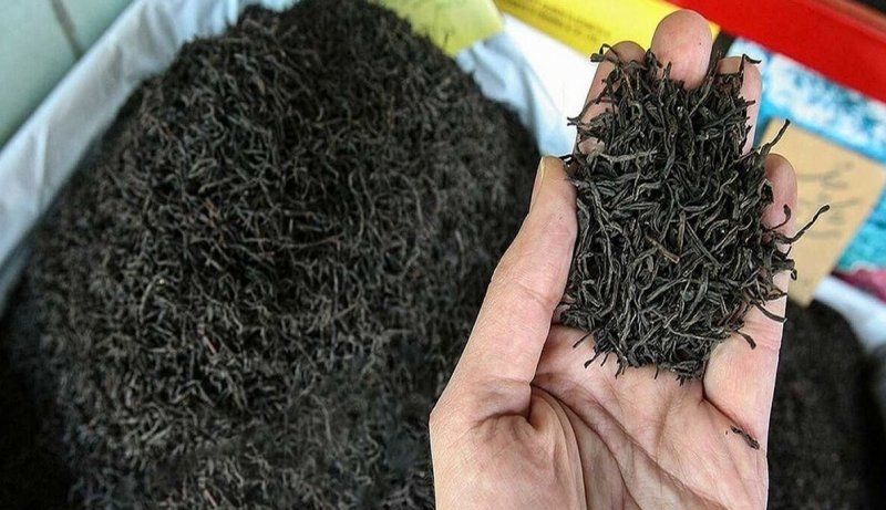 هزار تن چای دبش سه‌شنبه در تهران حراج می‌شود
