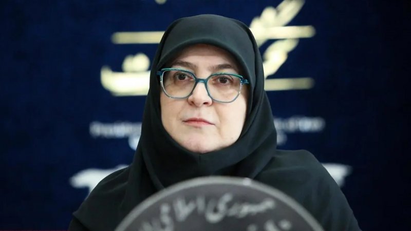 خانم سخنگوی دولت چادری شد+ عکس