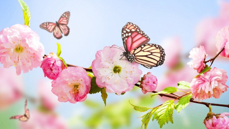 هشدار جدی هواشناسی برای ایران؛ باد و باران شدید کشور را فرا می گیرد