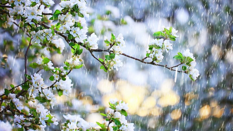 این استان ها منتظر برف و باران باشند/کاهش ۱۰ درجه‌ای دما