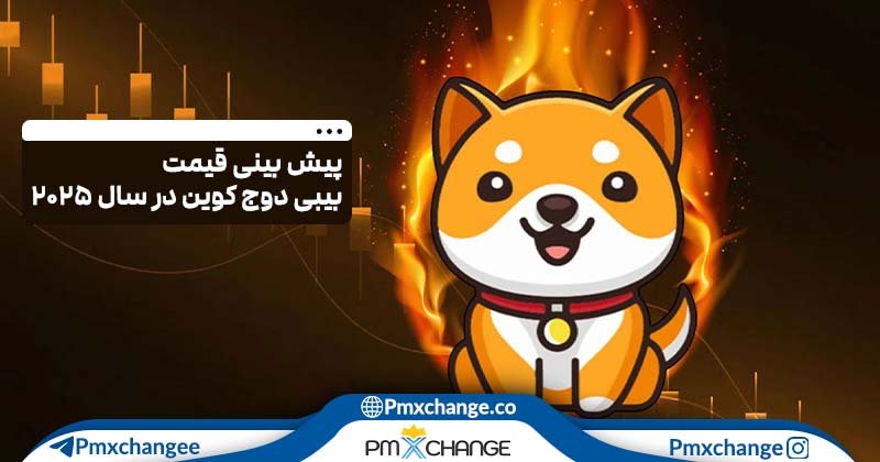 پیش بینی قیمت بیبی دوج کوین تا سال 2030