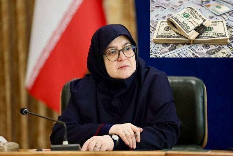 واکنش سخنگوی دولت به نسبت دادن نوسانان ارزی به دولت