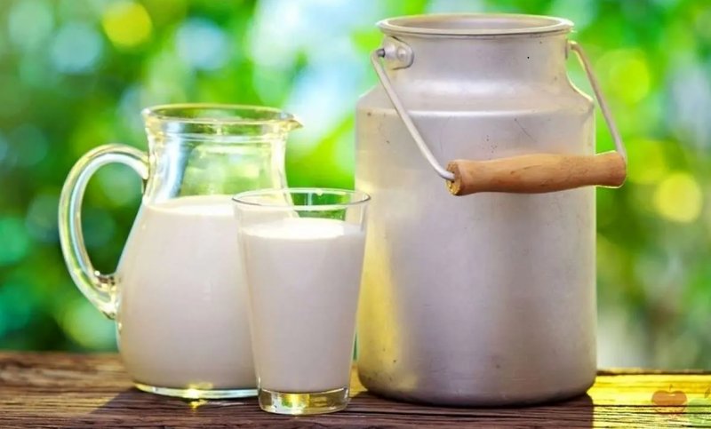 قیمت هر کیلو شیرخام تعیین شد