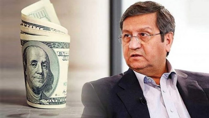 پیش بینی جنجالی همتی / آماده سقوط دلار باشید + فیلم