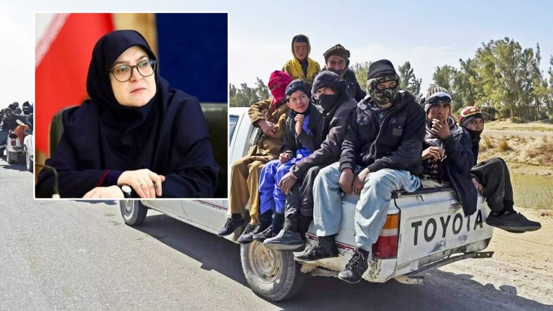 خبر مهم سخنگوی دولت درباره مهاجران افغان