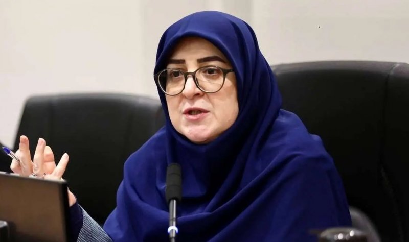  تصمیمی درباره مذاکره نگرفته‌ایم/ تعلیق ارتباط با آژانس اتمی حق ما است
