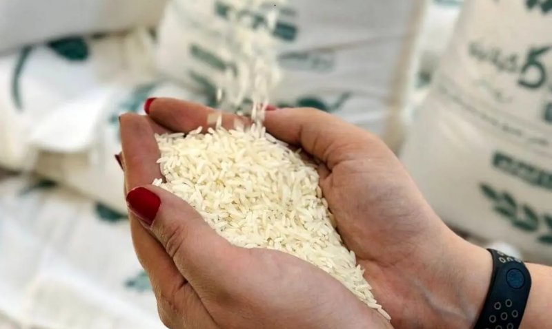 توزیع گسترده برنج ۵۶ تا ۷۰ هزار تومانی آغاز شد + جزئیات
