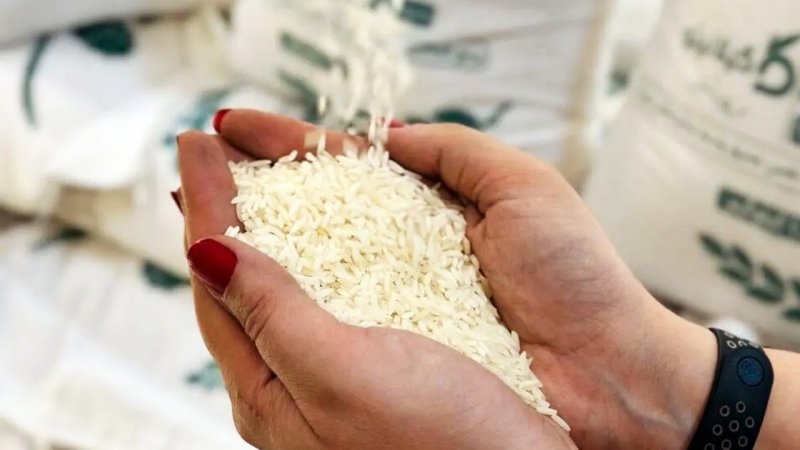 برنج ارزان می‌شود+ جزییات
