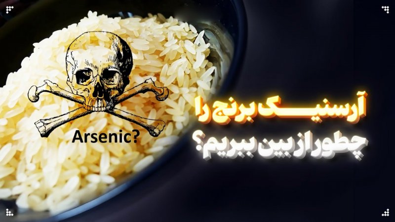 برنج آلوده نخورید/ 4 روش‌ ساده برای کاهش آرسنیک در برنج
