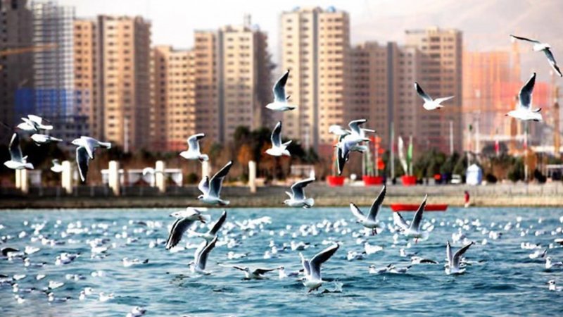 لیست اجاره خانه در چیتگر / رهن و اجاره آپارتمان ۲ خواب چند؟ + جدول مرداد