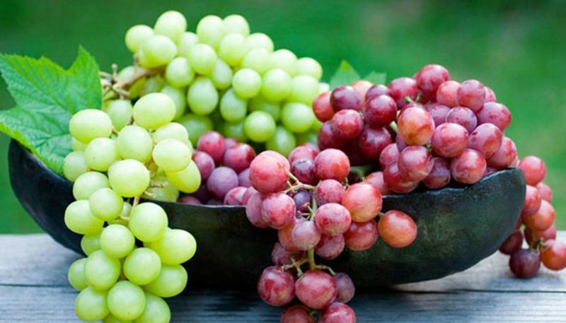 میوه بهشتی برای سلامت قلب و مغز + خواص شگفت انگیز