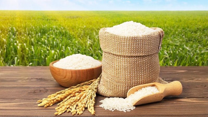قیمت برنج ایرانی امروز ۱۵ مرداد/ برنج هاشمی درجه یک کیلویی چند؟ + جدول