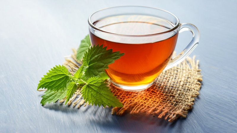 هشدار؛ ۵ اشتباهی که چای را به سم تبدیل می‌کند