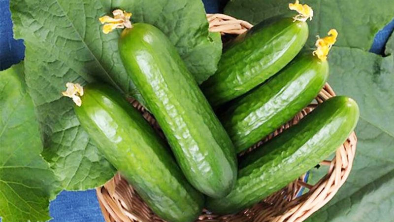 افزایش نجومی قیمت خیار / قیمت جدید میوه‌های تابستانی اعلام شد