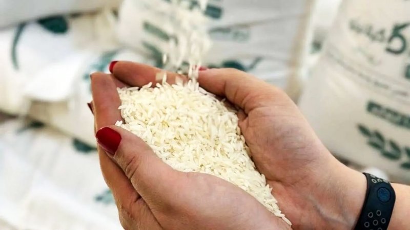 ریزش شدید قیمت برنج از این تاریخ / توزیع برنج دولتی آغاز می‌شود