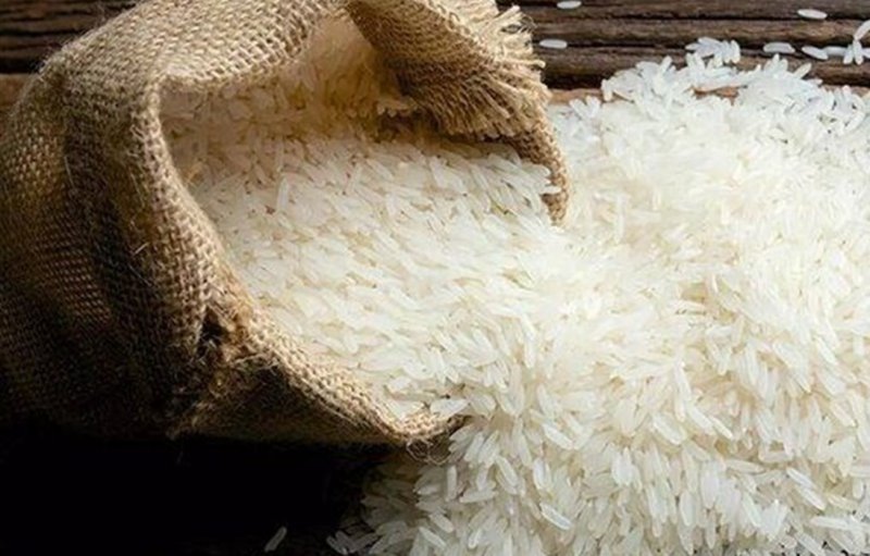 ممنوعیت واردات برنج در فصل برداشت غیرقانونی اعلام شد