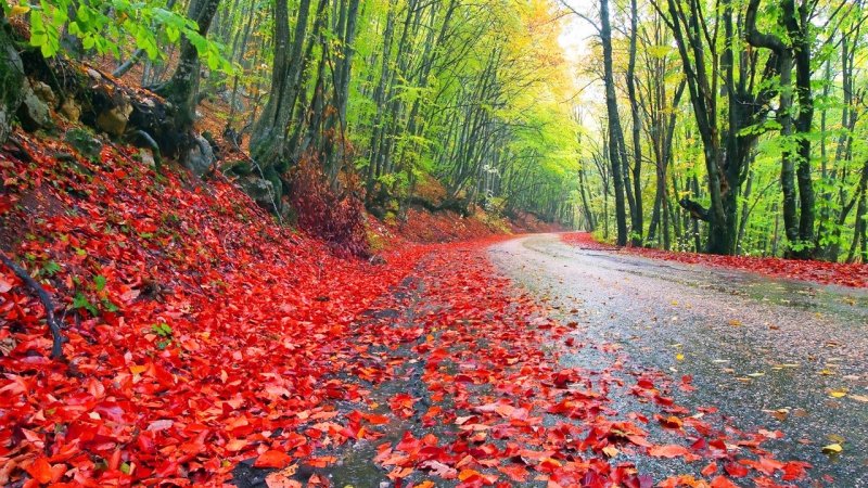 سامانه بارشی پرقدرت از راه رسید/ ۹استان برای بارش شدید باران آماده باشند +نقشه