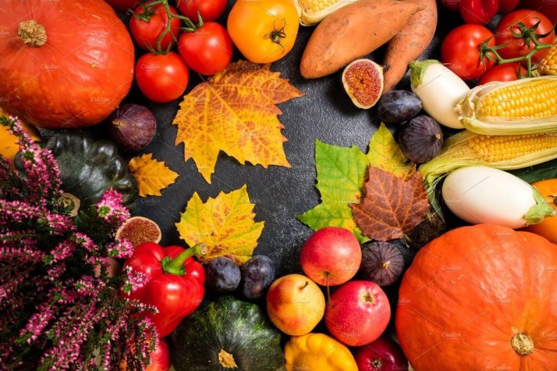 میوه پاییزی با خواص فوق العاده برای سلامتی و زیبایی