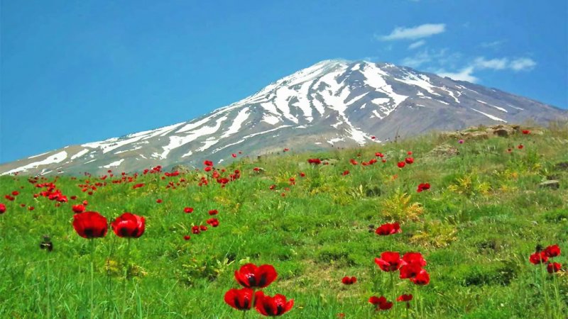 خبر خوش برای ایرانیان/ 10 روز دیگر صبر کنید+ عکس خبر خوش برای ایرانیان/ 10 روز دیگر صبر کنید+ عکس