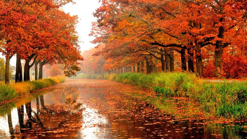 این استان‌ها منتظر بارندگی و کاهش دما باشند / وضعیت هوای کشور تا اواخر آذرماه