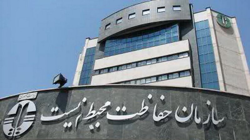 ماجرای سفر لاکچری رئیس سازمان محیط زیست با کشتی کروز/ چند نفر با شینا انصاری به برزیل رفتند؟