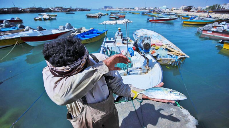 طی یک تصمیم عجیب/ بنادر ماهیگیری ایران واگذار می‌شود